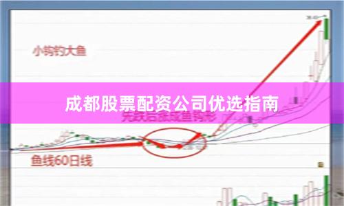 成都股票配资公司优选指南